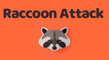 Что нужно знать об уязвимости TLS Raccoon Attack