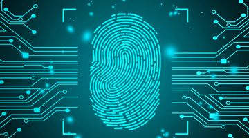 Самоподписанный SSL сертификат - преимущества и недостатки