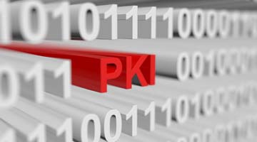 Как работает цифровая подпись? Подробный разбор работы электронной подписи PKI